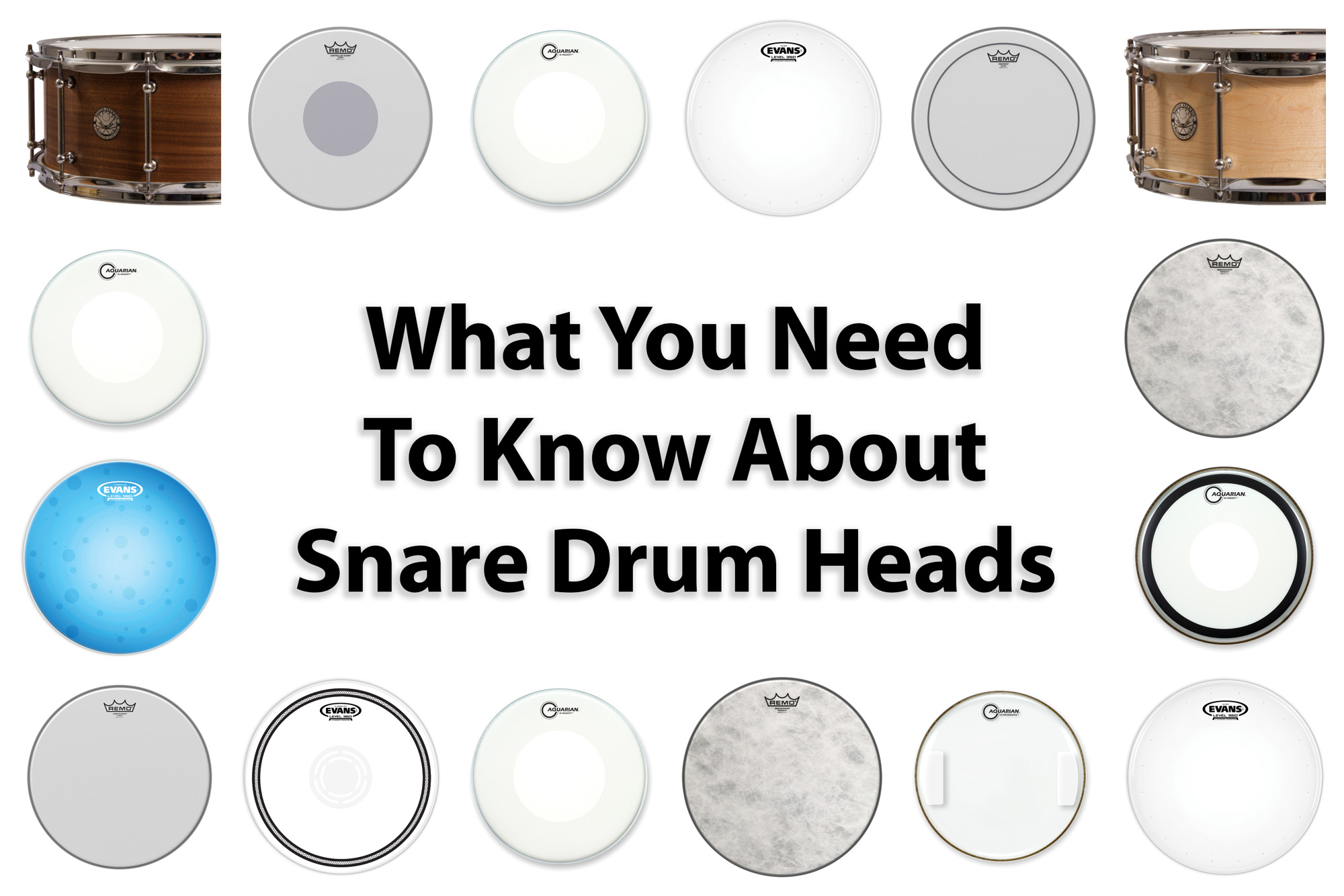 evans snare drum heads